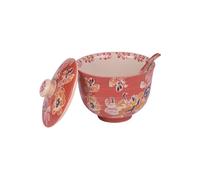 Bol à soupe avec cuillère ava 60 cl