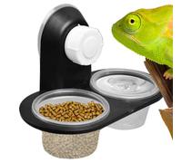 Bol Alimentaire pour Gecko | Plateau d'eau pour Terrarium | avec 4 Gobelets Accessoires Mangeoire pour Crabes Terrestres Caméléons Tortues Grenouilles Lézards et Mygales