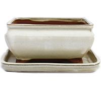bol bonsaï avec soucoupe taille 2 - beige clair - carré - modèle g81 - l 14,5cm - b 11,5cm - h 6,5cm