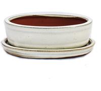 bol bonsaï avec soucoupe taille 2 - beige clair - ovale - modèle o7 - l 15,5cm - b 12cm - h 4,5cm