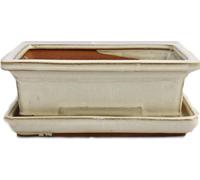 bol bonsaï avec soucoupe taille 3 - beige clair - carré - modèle g29 - l 18cm - b 13cm - h 6cm