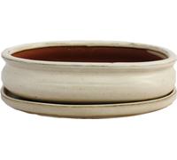 bol bonsaï avec soucoupe taille 3 - beige clair - ovale - modèle o47 - l 19cm - b 13,5cm - h 5cm