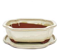 bol bonsaï avec soucoupe taille 4 - haitang i4 - beige clair - l 26cm - b 20,5cm - h 8,5cm