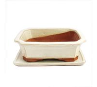 bol bonsaï avec soucoupe taille 5 - beige clair - carré - modèle g4 - l 31cm - b 23cm - h 9,5 cm