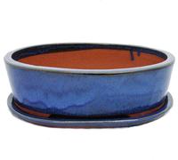 bol bonsaï avec soucoupe taille 5 - ovale o1 - bleu - l 31cm - b 24cm - h 9cm