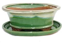 bol bonsaï avec soucoupe taille 8 pouces - vert-beige - ovale - modèle o4 - l 21cm - b 17cm - h 6cm