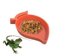 Bol d'alimentation et d'eau pour reptiles - Manche Form | Gecko Water Bowl, Tutty Bowl pour tortues, lézards et serpents, ne glisse pas, robuste, idéal pour terrariums et maisons de reptiles
