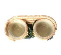 Bol d'alimentation pour aliments reptiles, bol d'eau de reptiles, assiette de nourriture en résine Lézard | Reptile double alimentation pour lézards, caméléons, grenouilles arboricoles et petits