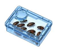 Bol d'alimentation pour reptiles - Bol d'alimentation anti-fuite avec compartiment, récipient durable, bol d'alimentation léopard gecko pour eau, repas et ver | Hermit crabe, grenouille, araignée