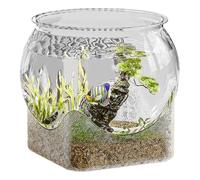 Bol D'aquarium En Verre - Réservoir Rond Transparent, Pièce Maîtresse De Vase À Fleurs Polyvalente | Habitat De Poisson Betta, Récipient De Tortue, Jardin D'eau De Bureau, Petite Maison Aquatique Pour