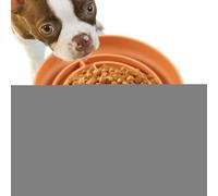 Bol de mangeoire lent, mangeoire à chien lent | Bol de chiens de labyrinthe de labyrinthe de silicone de puzzle | Des jouets interactifs anti-colocat avec une tasse à ventres réduisent l'ennui pour le