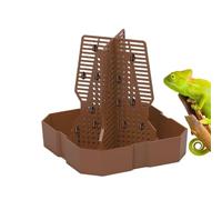 Bol de nourriture de grenouille, bol de nourriture Gecko, Plat d'alimentation du caméléon avec échelle, Bol d'alimentation du caméléon pour le terrarium reptile, adapté aux lézards, aux dragons barbus