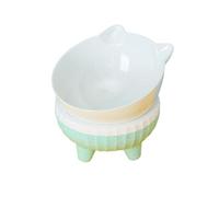 Bol de nourriture pour chien surélevé, Bol de chat surélevé - Bols de nourriture pour animaux de compagnie inclinés et surélevés pour chiens inclinés | Produits pour animaux de compagnie Plats pour