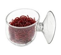 Bol De Nourriture Pour Poissons | Mangeoire Flottante - Support Alimentaire Transparent À Ventouse Pour Larves De Moustiques Rouges, Crevettes, Aquarium Et Poissons Betta | Transparent Avec Tortue Can
