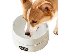 Bol d'eau chauffée pour chat - 15,2 x 15,2 x 8,3 cm - Assiette à boire pour animaux de compagnie par temps froid en hiver, plat pour chien chauffé en plein air | Optimisation de l'hydratation en