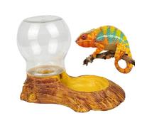Bol d'eau pour Reptile, Distributeur d'eau Automatique pour Tortue - Fontaine à Eau en Forme de lézard Moustache, Fontaine à Eau en Forme de lézard Amovible, à Boire