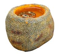 Bol d'eau pour reptiles Base Large Anti-Dérapant pour Alimentation