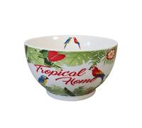 Bol en Porcelaine Tropical 480 ml