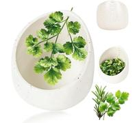 Bol Éplucheur à Herbes en Résine, Éplucheur en Céramique Artisanal, Épluche-Lièges avec Trous Ronds de Tailles Différentes pour Persil, Coriandre, Romarin(White)