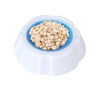 Bol pour Animaux de Compagnie de Refroidissement - Alimentation pour Chien, Bol 'Eau 'été 'été, Chargeur de Glace de Condensation | 'hydratation