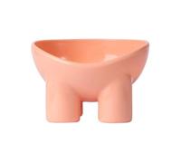 Bol pour Chat surélevé avec Support-Plat en Plastique pour Aliments et Eau pour Animaux domestiques, pour la Fatigue des Moustaches et du Cou-Design Ergonomique antidérapant et Anti-vomissements