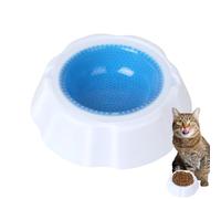 Bol pour chien Chill Out - Bol d'alimentation pour animaux de compagnie - Rafraîchissant - Rafraîchissant - Condensation de la glace - Accessoires d'hydratation en plein air - Eau en relief