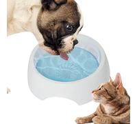 Bol pour chiens à l'épreuve du déversement, bol à eau flottante pour | Bols de chien de base, fournitures pour animaux de compagnie, grande capacité