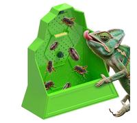 Bol pour reptiles | Boîte d'alimentation pour reptiles avec protection contre les épidémies - Accessoire terrarium - Bol de chasse anti-éclatement pour caméléon, serpent, araignée, amphibie, tortue