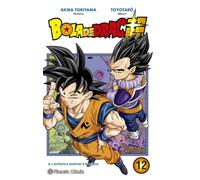 Bola de Drac Super n. 12