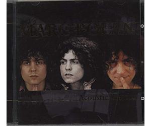 Bolan, Marc - Acoustic Warrior [Import]
