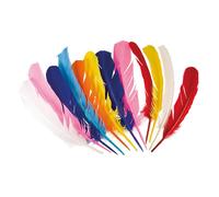 12 plumes colorées indiens - boland 44135 Multicolore G