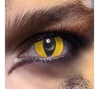 Boland 40119 - Lentilles de contact colorées chat sauvage, 2 pièces, lentilles hebdomadaires, tous les jours, carnaval, fête à thème, sans correction