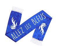 Boland 62204 - Echarpe France, 145 x 17 cm, Allez les Bleus, Décoration, déguisement, fête à thème, anniversaire, CE, Coupe du monde, article de fan