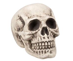 Boland 71988 - Crâne Bighead Accessoire d'halloween