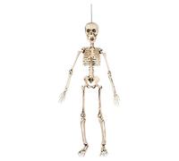 Boland - 72037 Squelette décoratif Blanc 50 cm