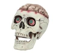 Boland 73213 - Crâne avec mâchoire mobile, 18 x 13 x 15 cm, figure décorative, décoration d'Halloween, décoration de fête