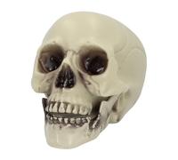 Boland 74340 - Crâne Whisperbone, 15 x 20 x 16 cm, décoration pour Halloween et carnaval, squelette