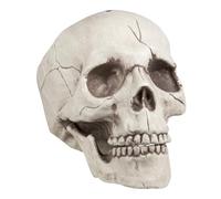 Boland 74378 - Crâne Jawbone décoratif avec pin Mobile, tête de Mort pour Halloween, décoration de fête, fête effrayante
