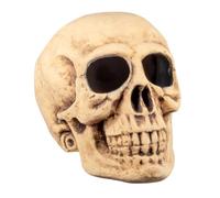 Boland 74522 tête de Mort-Master Brain, décorations, env. 40 x 35 cm