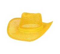 Boland - Chapeau de directeur de cirque, haut-de-forme pour costumes de carnaval, festival, carnaval, soirée à thème, dompteur