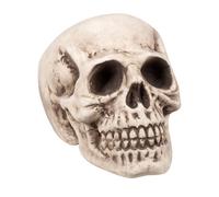 Boland Crâne grosse tête 23 x 22 x 31 cm