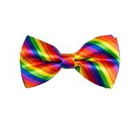 Boland Déguisement Fly Rainbow Multicolore Taille unique
