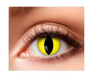 Boland - Lentilles de contact colorées sans correction, 2 pièces Lentilles pour 3 mois, Carnaval, Fête à thème, Halloween