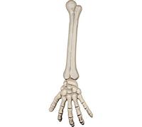 Boland Main Squelette 46 cm Halloween - Jaune - Taille Unique