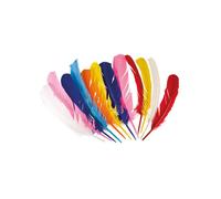 Boland Native American Indian Feathers Asst Colours Fancy Dress Accessories 12PK