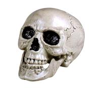 Boland - Tête de mort Maxilla avec dentition mobile, crâne décoratif pour fête de l'horreur, Halloween ou Carnaval