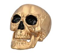 Boland - Tête de mort Maxilla avec dentition mobile, crâne décoratif pour fête de l'horreur, Halloween ou Carnaval