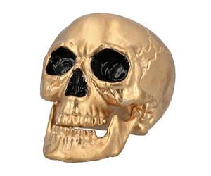 Boland - Tête de mort Maxilla avec dentition mobile, crâne décoratif pour fête de l'horreur, Halloween ou Carnaval