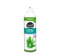 BOLDAIR - Destructeur d'odeur et parfumants d'intérieur - Format compressé - parfum menthe et aloe vera - sans retombées - Flacon 100% recy ologique - 250ML - Fabrication française