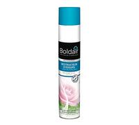 BOLDAIR - Destructeur d'odeurs parfumants Menthe rose - Absorbe, neutralise et détruit les mauvaises odeurs - Pulvérisation sèche - Efficacité longue durée - Aérosol - 500ml - Fabrication Française